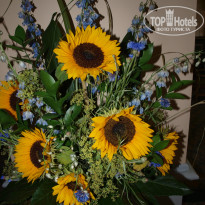 фото из отзыва ID 704561