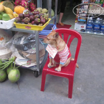 фото из отзыва ID 704993