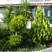 фото из отзыва ID 705057