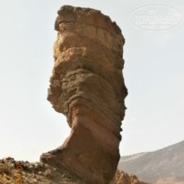 фото из отзыва ID 705443