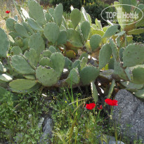 фото из отзыва ID 705447