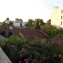 фото из отзыва ID 705502