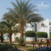 фото из отзыва ID 705641