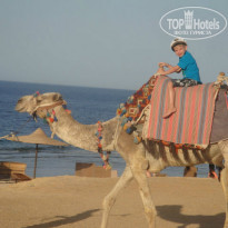 фото из отзыва ID 705785