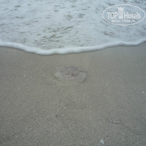 фото из отзыва ID 705900