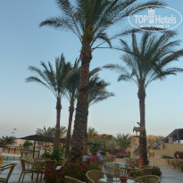 фото из отзыва ID 705902