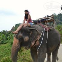 фото из отзыва ID 705560