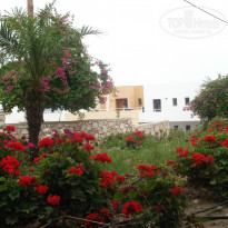 фото из отзыва ID 706002