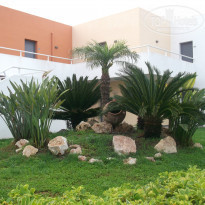 фото из отзыва ID 706002