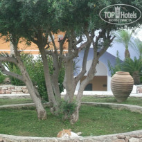 фото из отзыва ID 706002