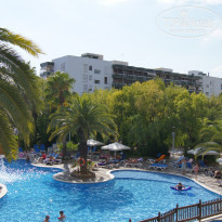 фото из отзыва ID 706312