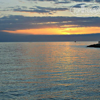 фото из отзыва ID 706580