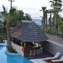 фото из отзыва ID 706842