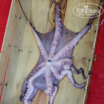 фото из отзыва ID 707193