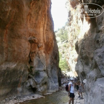 фото из отзыва ID 707237