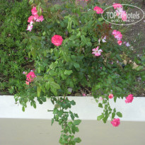фото из отзыва ID 708279