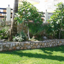 фото из отзыва ID 708431