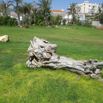 фото из отзыва ID 708431