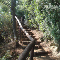 фото из отзыва ID 708855