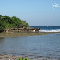 фото из отзыва ID 709876