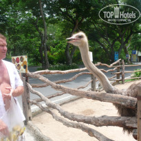 фото из отзыва ID 710208