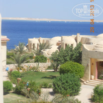 фото из отзыва ID 710918