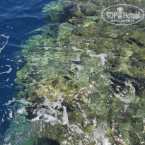 фото из отзыва ID 711297