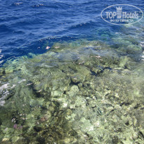 фото из отзыва ID 711297