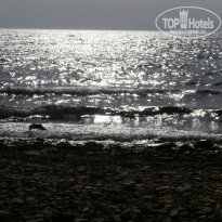 фото из отзыва ID 711658