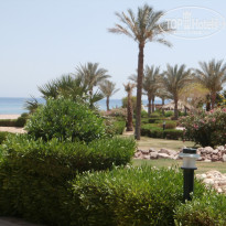 фото из отзыва ID 711658