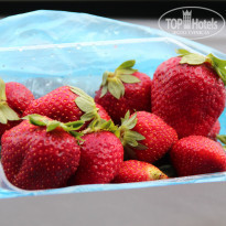 фото из отзыва ID 711566