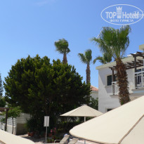 фото из отзыва ID 712276