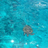 фото из отзыва ID 712433