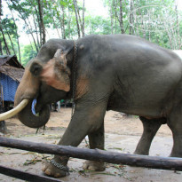 фото из отзыва ID 712433