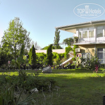 фото из отзыва ID 712594