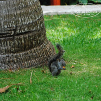 фото из отзыва ID 712799