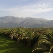 фото из отзыва ID 712934