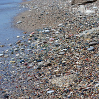 фото из отзыва ID 712996