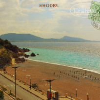 фото из отзыва ID 713841