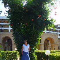 фото из отзыва ID 713180