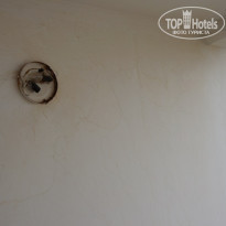 фото из отзыва ID 713176