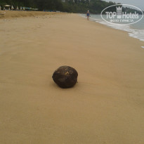 фото из отзыва ID 713216