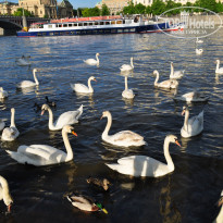 фото из отзыва ID 713387