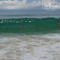 фото из отзыва ID 713529