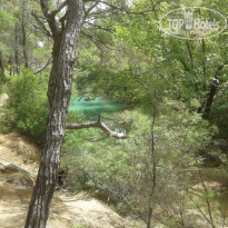 фото из отзыва ID 713032