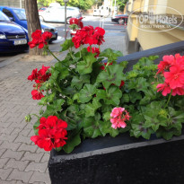 фото из отзыва ID 714424