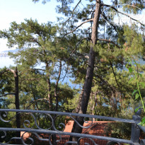 фото из отзыва ID 714604