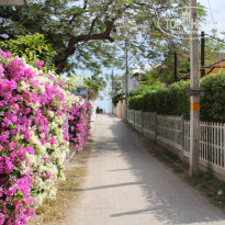 фото из отзыва ID 714756