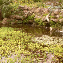 фото из отзыва ID 714918