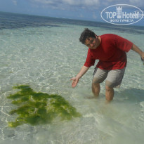 фото из отзыва ID 715782